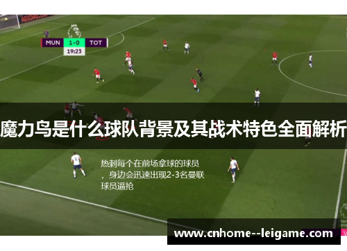 魔力鸟是什么球队背景及其战术特色全面解析