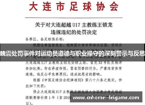 魏震处罚事件对运动员道德与职业操守的深刻警示与反思